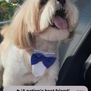 Meet your Posher, Brad